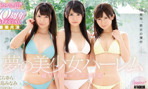 kawd-774 梦幻美女后宫超级VIP性爱3小时-sarga