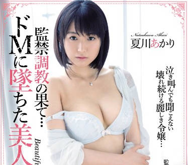 ipz-970 在爸妈出去后-夏川あかり-sarga