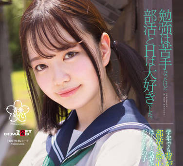 SDAB-236 我不善于学习-橋本りこ-sarga