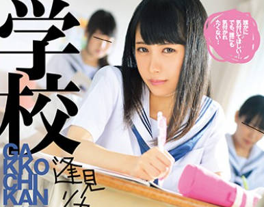 TYD-002 学校痴-逢見リカ-sarga