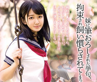 DDK-174 我被约束和驯服了-神宮寺ナオ-sarga