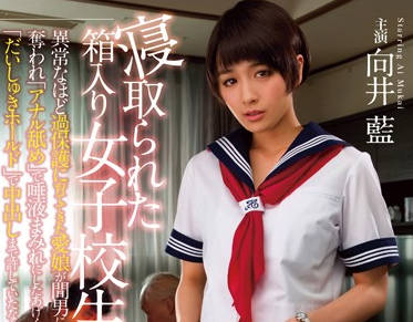 avop-265 被戴绿帽子的女学生-向井藍-sarga