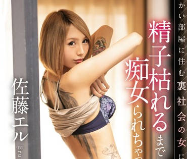 miaa-237 对面房间住的不良痴女-佐藤エル-sarga
