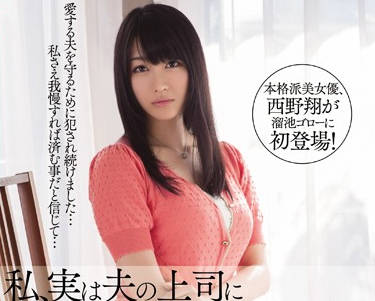 mdyd-785 不能和老公说的秘密-西野翔-sarga
