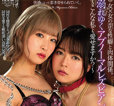 BBAN-388 肉体関係-宮沢ちはる 栄川乃亜-sarga