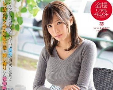 SSNI-170 秘密跟拍女神-葵-sarga