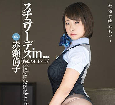 vdd-161 黑丝空姐-赤瀬尚子-sarga