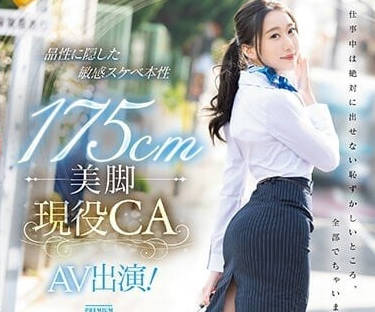 PRED-494 175cm美脚现役空姐-加贺彩叶-sarga