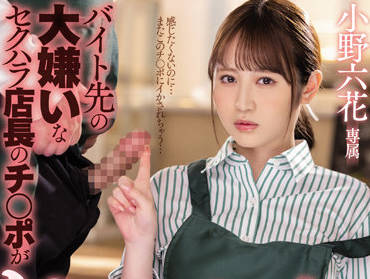 MIDV-175 讨厌的性骚扰经理-野六花-sarga